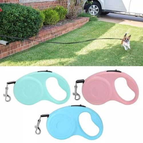 Correa extensible para perro color Azul, , large Imagen numero 4
