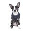 Arnés Soft para perros color Gris, , large indicador imagen numero 1