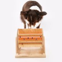 Juguete inteligente para perros rueda de la fortuna, , large Imagen numero 5