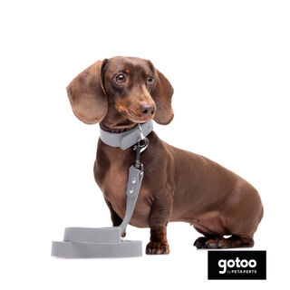 Gotoo Correa Biothane gris para perros