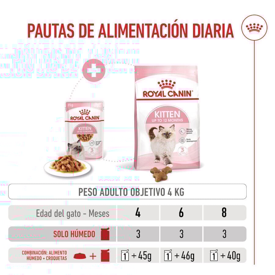 Royal Canin Kitten sobre en salsa para gatos thumbnail