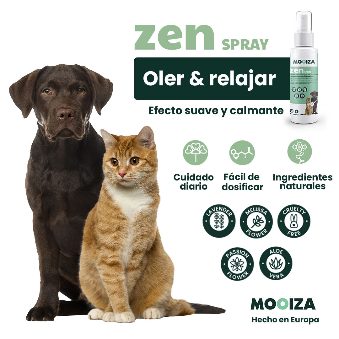 MOOIZA zen spray - efecto calmante para perros y gatos thumbnail