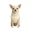 Gotoo Jersey Polar Amarillo para perros, , large indicador imagen numero 7