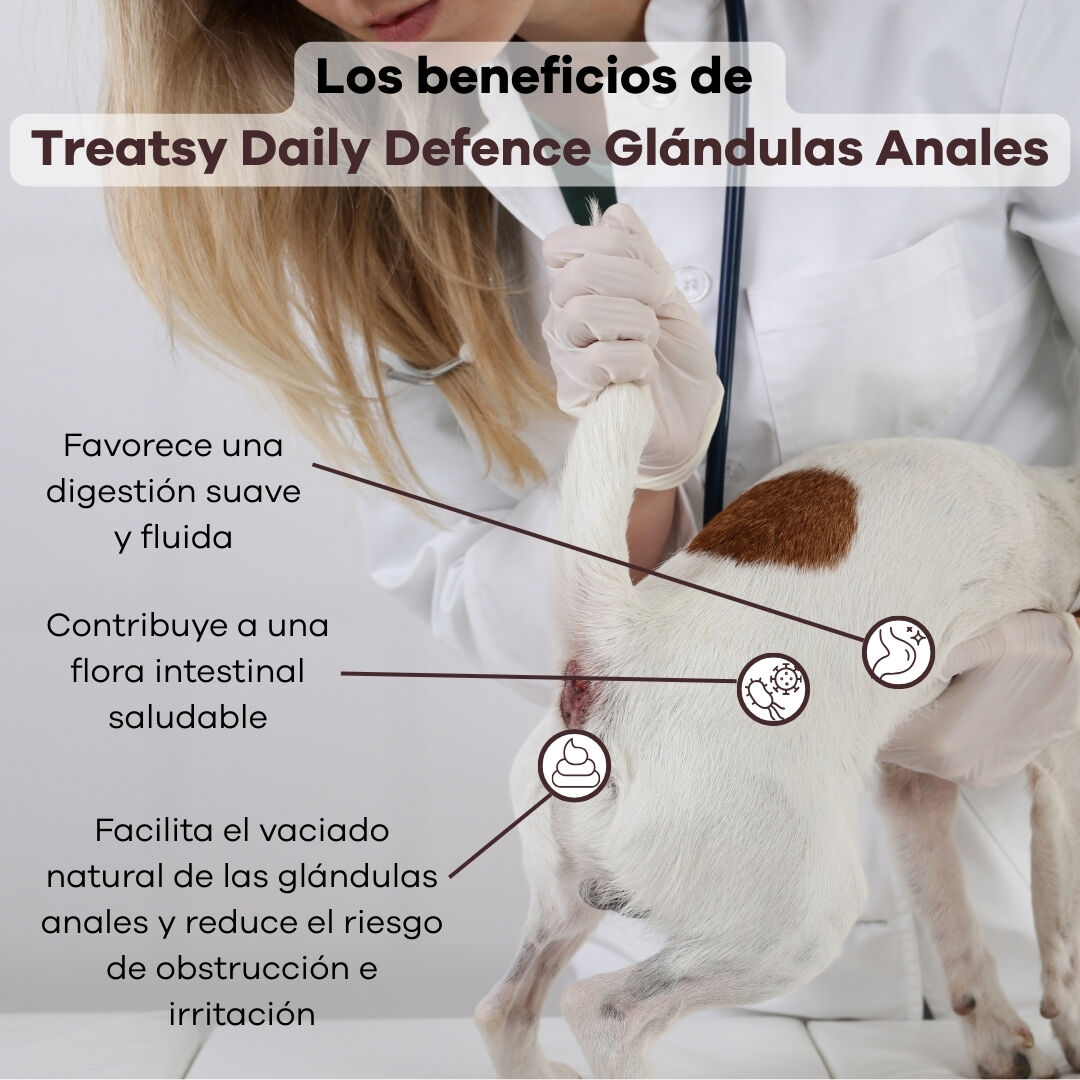 Treatsy Daily Defence Complemento Alimenticio &ndash; Gl&aacute;ndulas Anales para Perros, , large Imagen numero 4