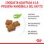 3.5 kg Royal Canin Kitten Sterilised pienso para gatos, , large indicador imagen numero 5