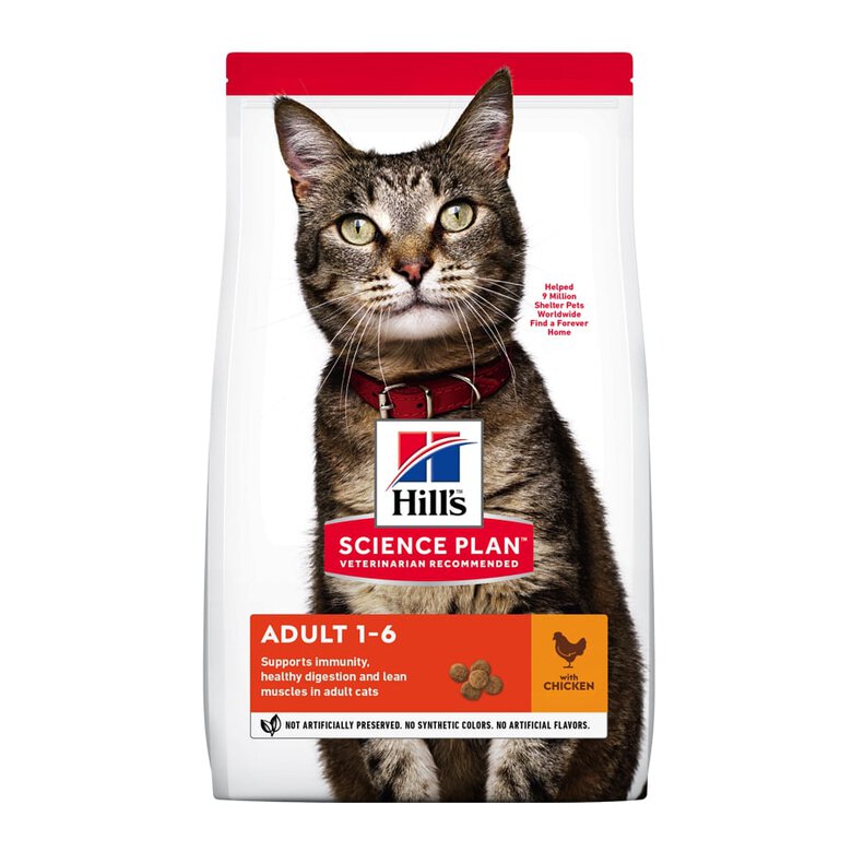 Hill's Gato Adult pollo image number null