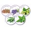 Beaphar Calming Collar Relajante para perros4 indicador imagen numero 4