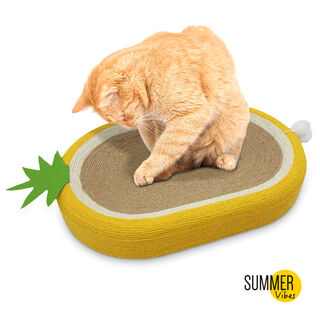 Summer Vibes Piña rascador para gatos