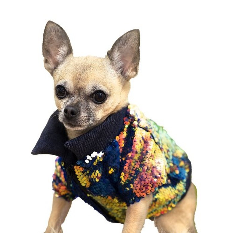 Chaqueta bomber Elvis para perros color Azul, , large image number null