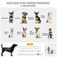 PawHut Cochecito Doble para Perros Gatos Cochecito Plegable para Mascotas con 2 Transportines Extraíbles Cinturón de Seguridad Bolsillos Laterales y 2 Cojines 66x50x98 cm Verde y Gris, , large indicador imagen numero 4
