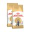 2 x 2 kg Royal Canin Adult British Shorthair pienso para gatos ¡Pack ahorro!, , large indicador imagen numero 1