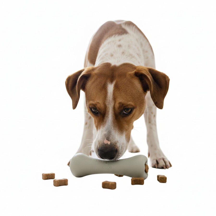 BECO Hueso Portagolosinas de Goma Blanco para perros, , large Imagen numero 6
