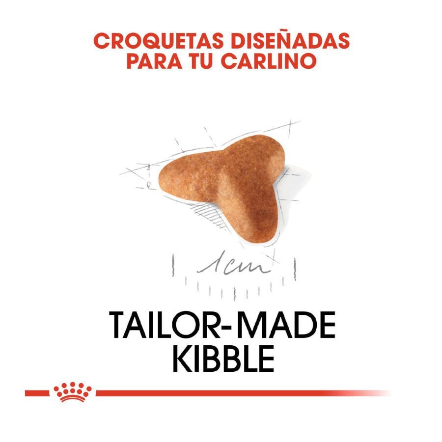 Royal Canin Puppy Pug pienso para perros thumbnail