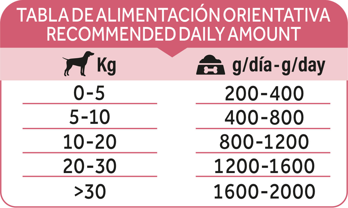 Dibaq Natural Moments Adulto Pavo con Frambuesa, 12 latas x 380gr, , large Imagen numero 2
