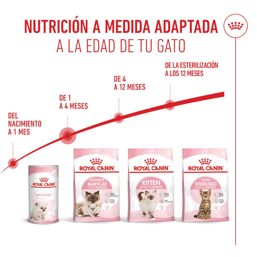 Royal Canin Mother &amp; Babycat pienso para gatos thumbnail