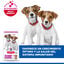 6 kg Hill's Science Plan Puppy Small y mini Cordero y arroz para perros, , large indicador imagen numero 4