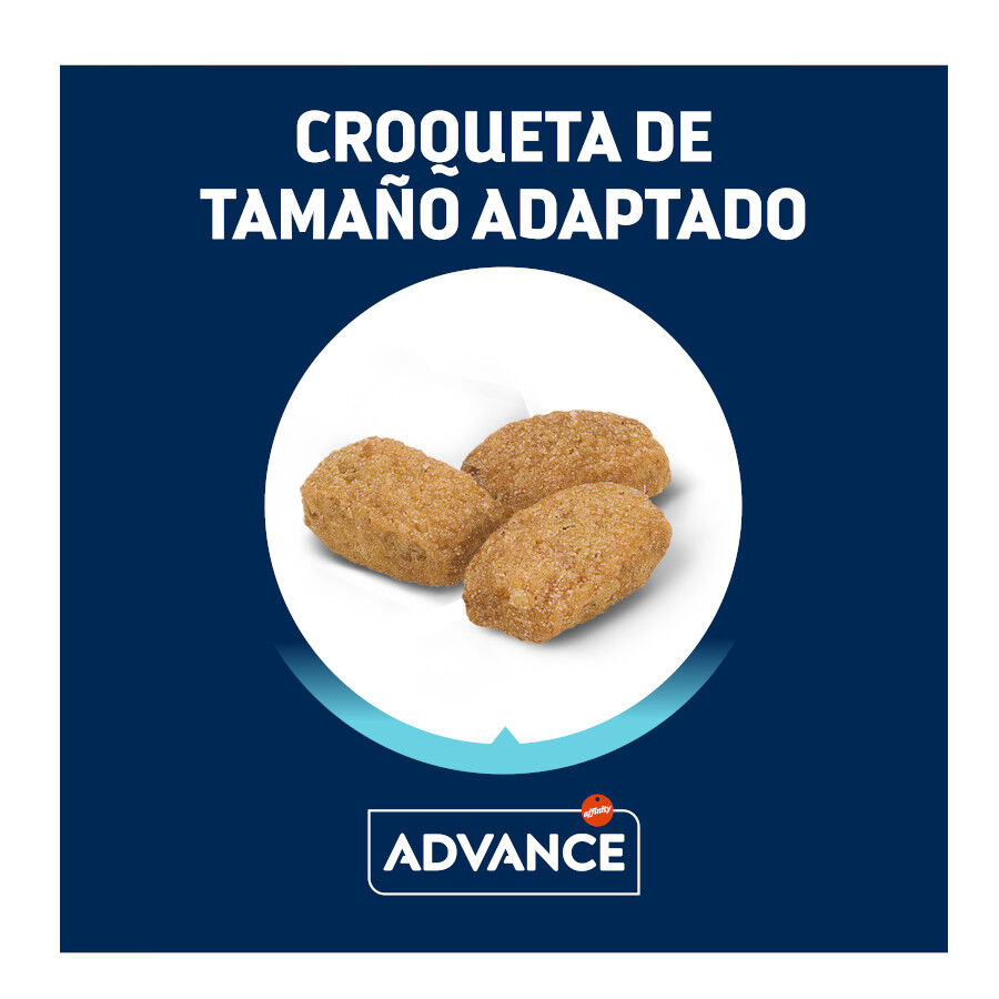 Advance Adult Sterilized Pavo y Cebada pienso para gatos thumbnail