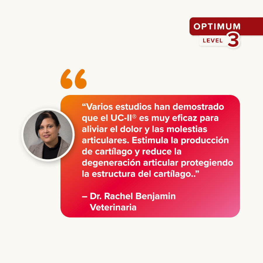 Beaphar Flexifit Chews Condroprotector para perros thumbnail