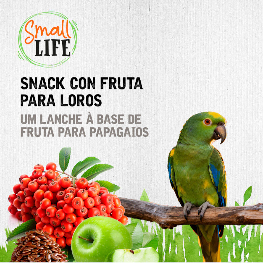 2 barritas Small Life Barritas con Fruta para loros, , large Imagen numero 4