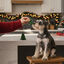 80 g Wonder Christmas Galleta Árbol de Navidad para perros, , large indicador imagen numero 2
