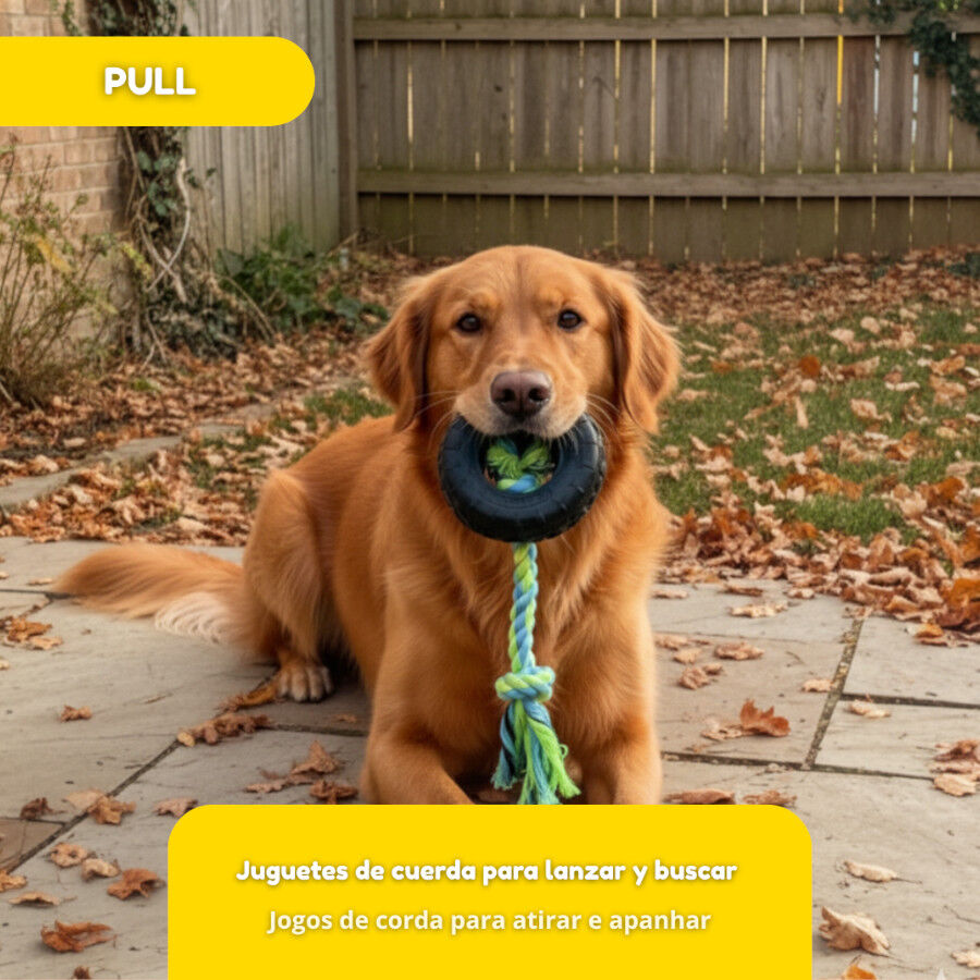 Tootoy! Mordedor Neum&aacute;tico de Goma con Cuerda para perros, , large Imagen numero 5