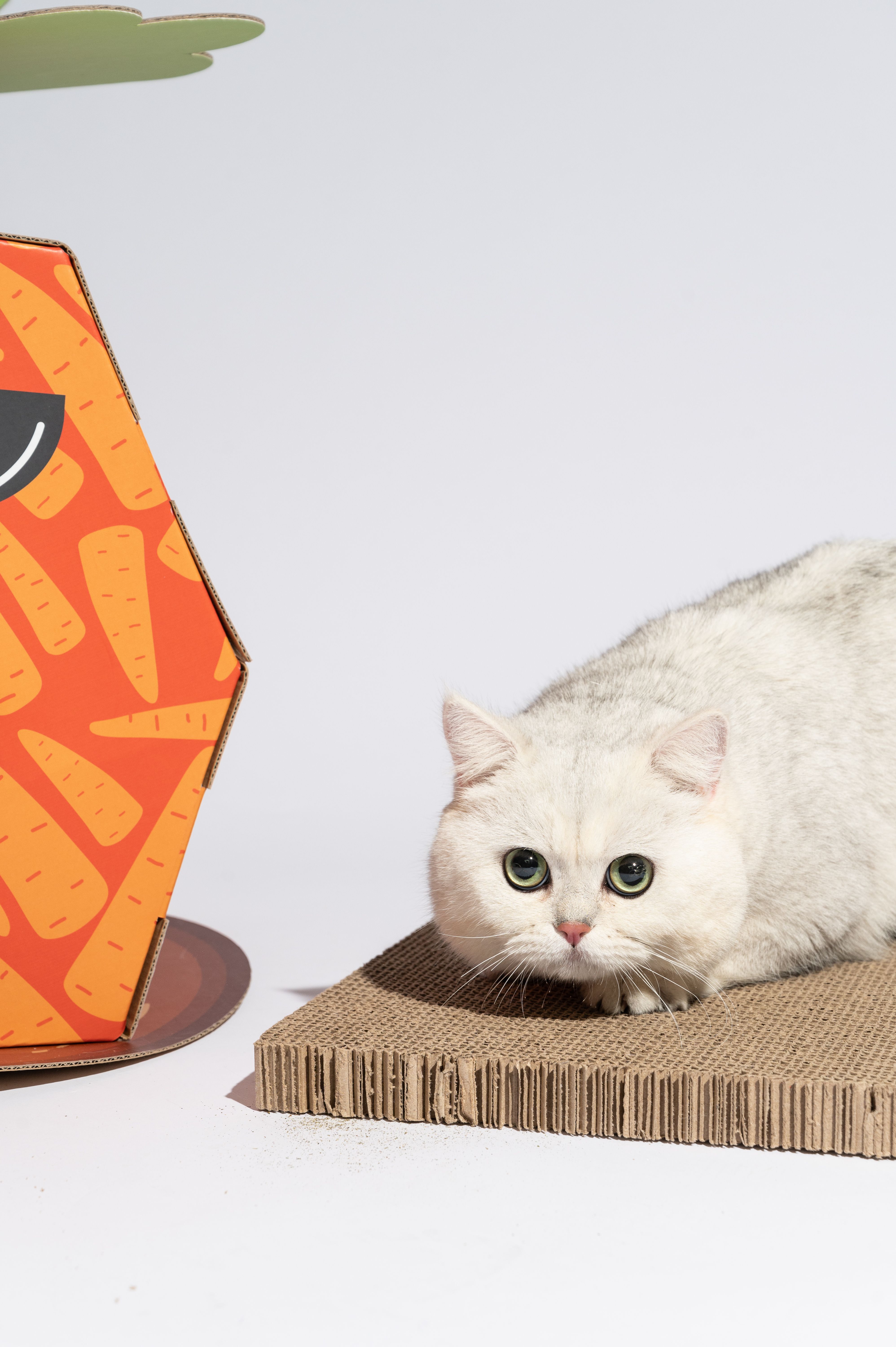 FOFOS | Caja de Cart&oacute;n Zanahoria con Panel Rascador - Para Gato, , large Imagen numero 3