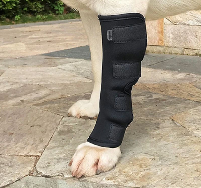 Protector Articular Delantero Talla M, , large Imagen numero 2