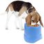 Cuenco elevado para perros y gatos 14 cm, , large indicador imagen numero 4