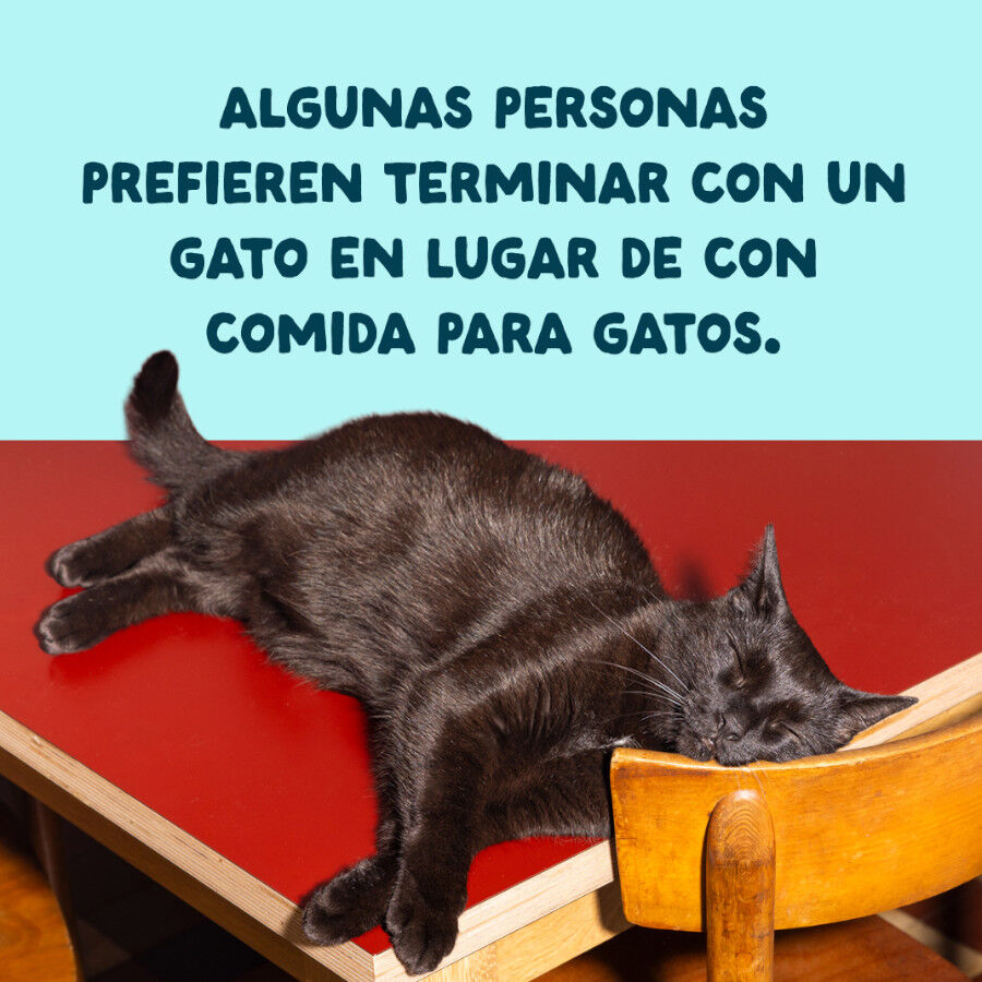 70 g Edgard & Cooper Filetes de At&uacute;n y Gambas lata para gatos, , large Imagen numero 10
