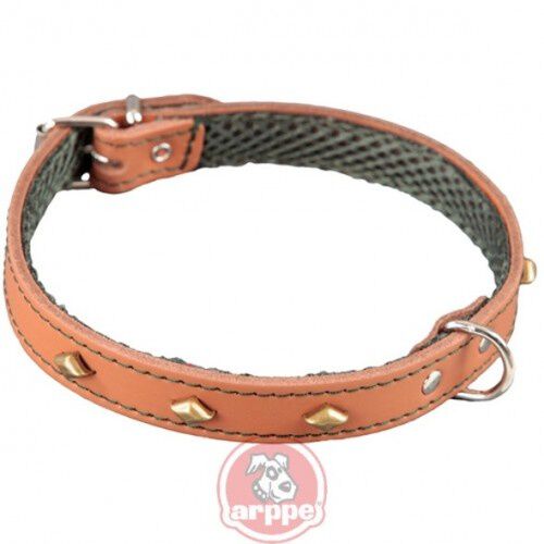 Arppe Collar Ajustable De Piel Talla 40 Para Perros 1 Unidad