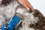 Auto Dog Brush Petite AUTO DOG BRUSH PETITE - SIN MANGUERA, , large indicador imagen numero 5