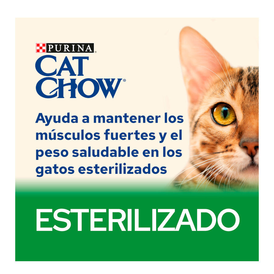 Cat Chow Sterilized Pollo Pienso para gatos thumbnail