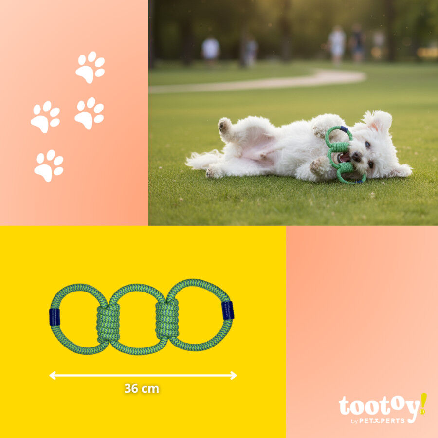 Tootoy! Mordedor de Cuerda Triple para perros, , large Imagen numero 4