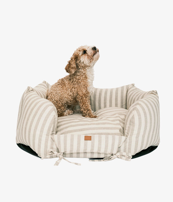 Pet and Co Cama Rayada Topo Ronny para Perros, , large Imagen numero 3