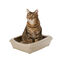 Nice Care Bandeja Sanitaria Beige para gatos , , large indicador imagen numero 1