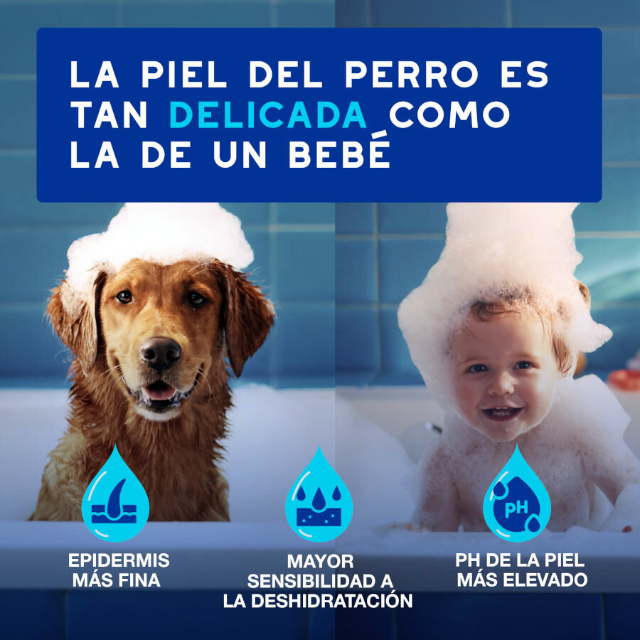 Ceva Douxo Spa Mousse Limpiador Expr&eacute;s para perros, , large Imagen numero 8