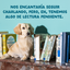 8 x 150 g Edgard & Cooper Adult Grain Free Sobres para perros - Multipack, , large indicador imagen numero 9