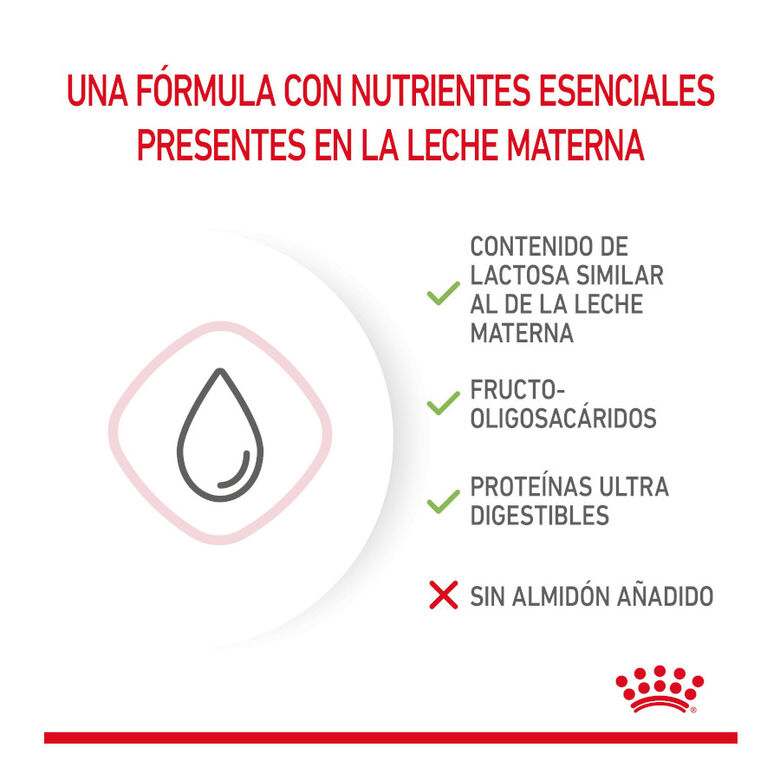 Royal Canin Leche para gatitos primer año thumbnail