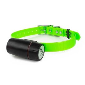 Ibañez Collar de entrenamiento para perros