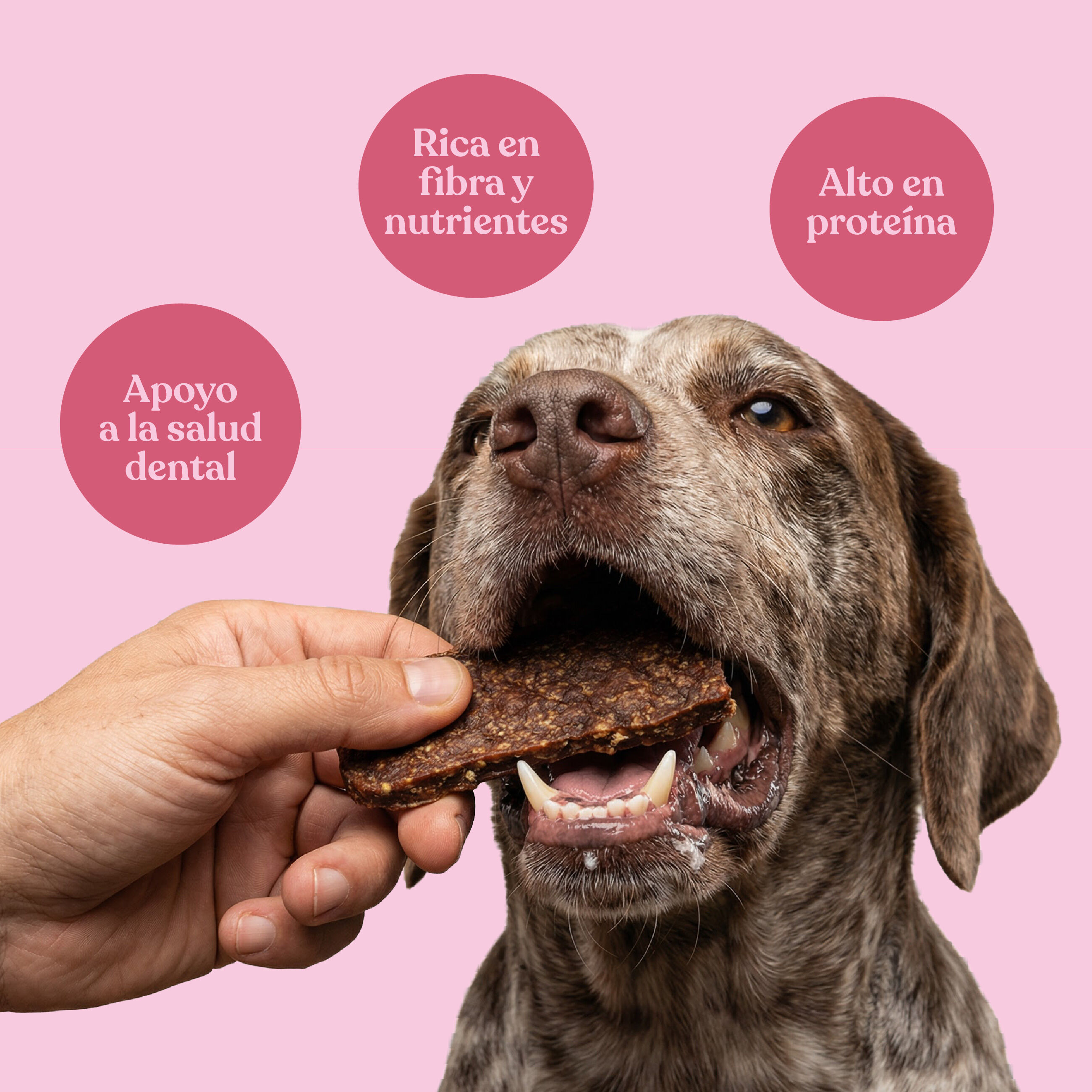 dr.bimix Filetes de Cerdo con Zanahoria para Perros | Premio Natural Rico en Prote&iacute;na, , large Imagen numero 3