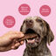 dr.bimix Filetes de Cerdo con Zanahoria para Perros | Premio Natural Rico en Prote&iacute;na, , large indicador imagen numero 3