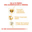 12 kg Royal Canin Adult Rottweiler pienso para perros, , large indicador imagen numero 6