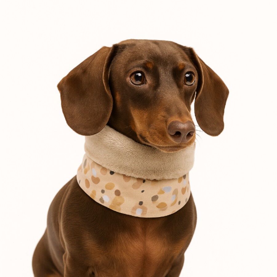 Outech Bufanda Leopardo para perros, , large Imagen numero 3