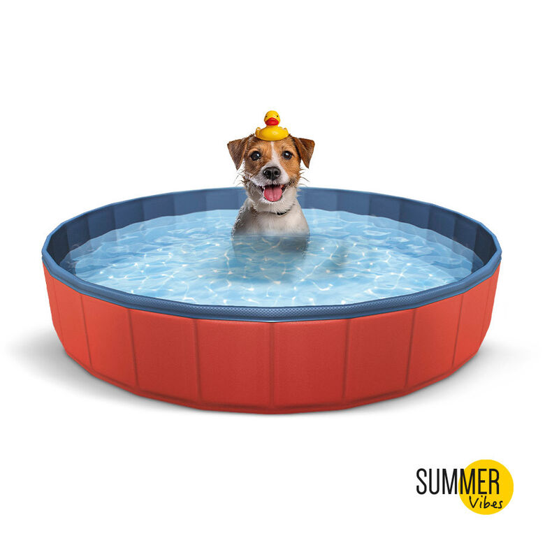 Summer Vibes Piscina Roja para perros thumbnail