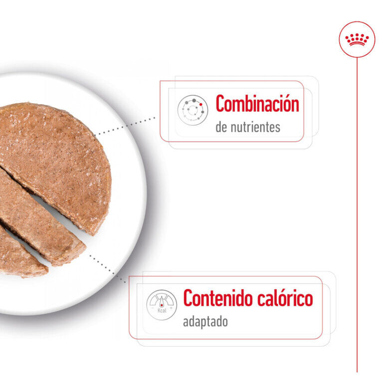 Royal Canin Mini 8+ Ageing lata para perros thumbnail