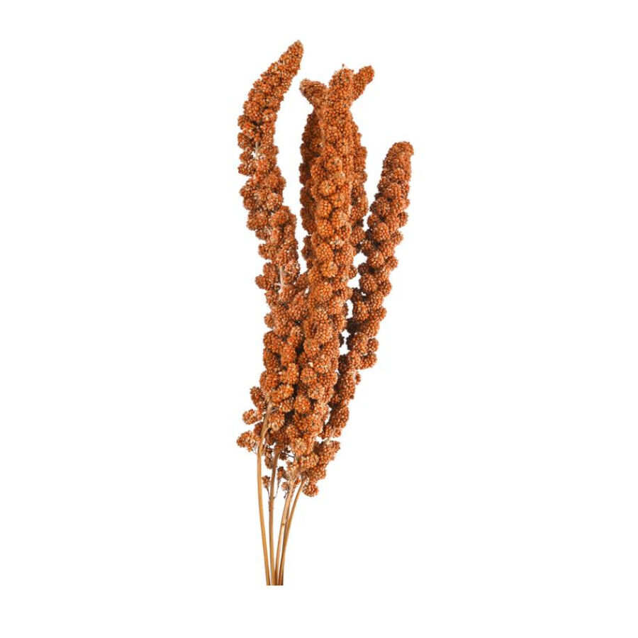 Small life Snack Panizo Rojo para pájaros thumbnail