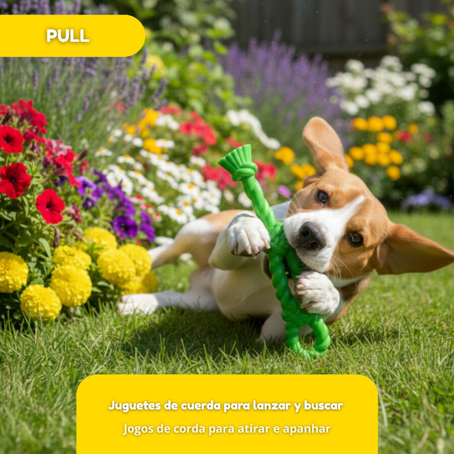 Tootoy! Mordedor Rubber Bold Knot de Goma Verde para perros, , large Imagen numero 6