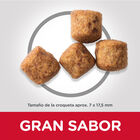 Hill's Science Plan Perfect Weight Adult Large Pollo pienso para perros, , large image number null