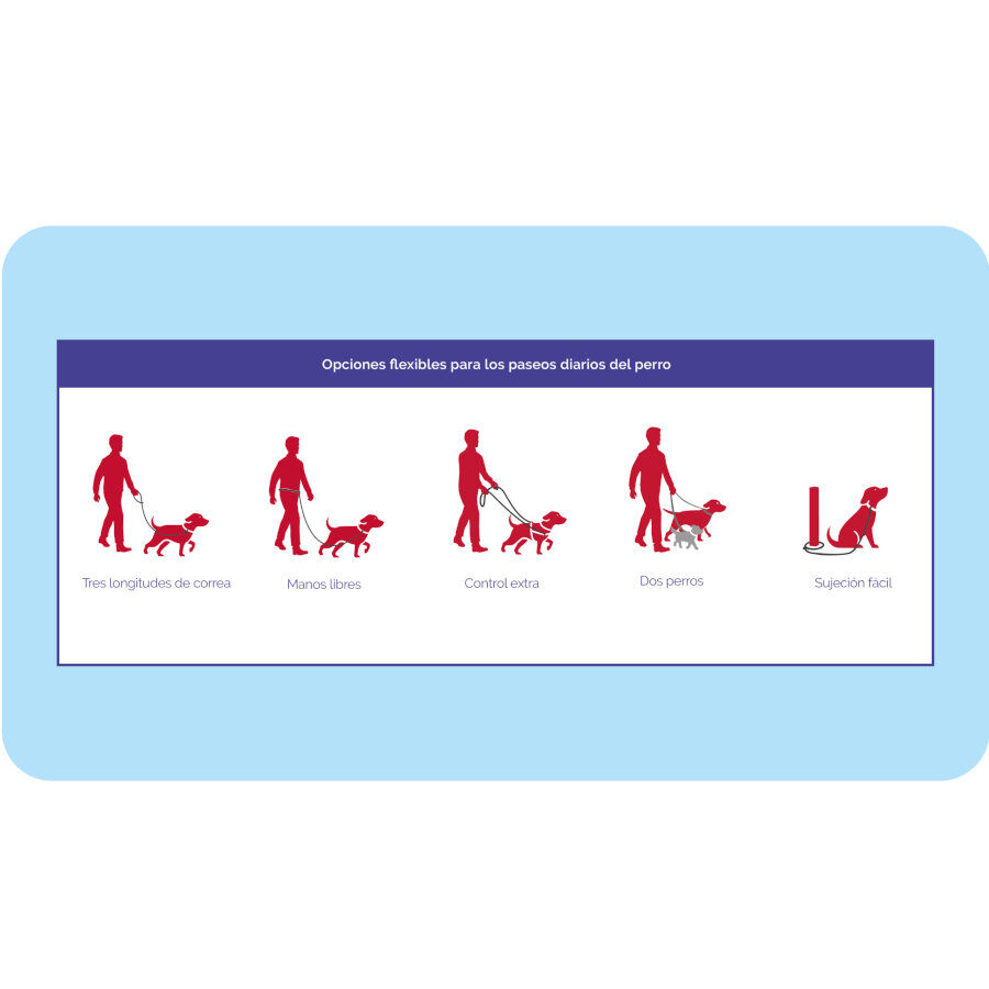 Halti correa de doble enganche morada para perros, , large Imagen numero 4