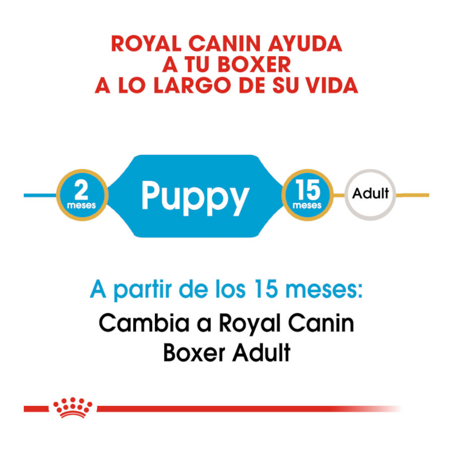 Royal Canin Puppy Boxer pienso para cachorros thumbnail